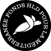logo_HLD_PM_B_RVB (2)